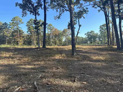 2925 Orchard View Dr, Conway, AR 72034 photo 3
