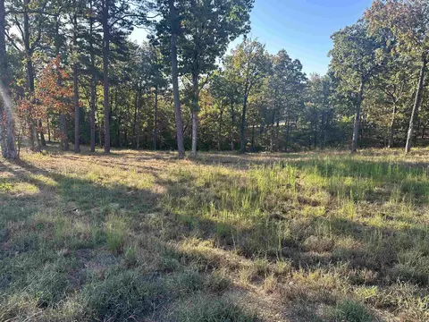 2925 Orchard View Dr, Conway, AR 72034 photo 2