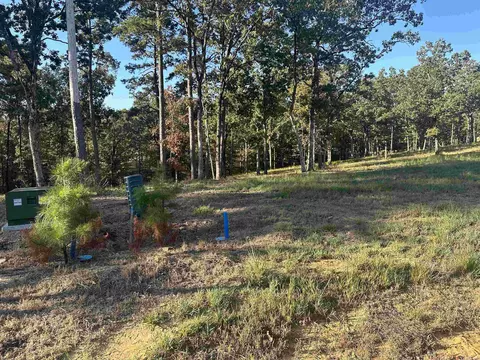 2925 Orchard View Dr, Conway, AR 72034 photo 4
