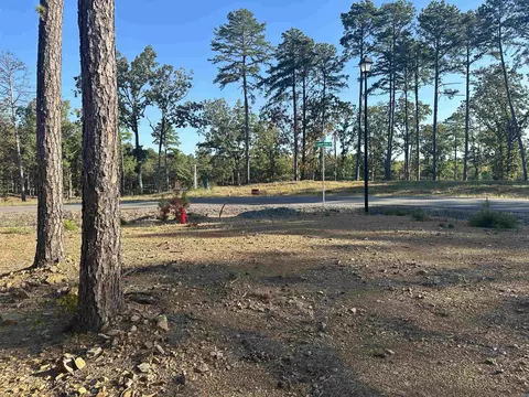2915 Orchard View Dr, Conway, AR 72034 photo 3