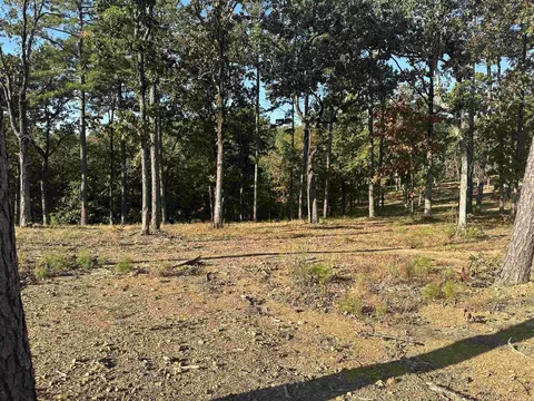 2915 Orchard View Dr, Conway, AR 72034 photo 4