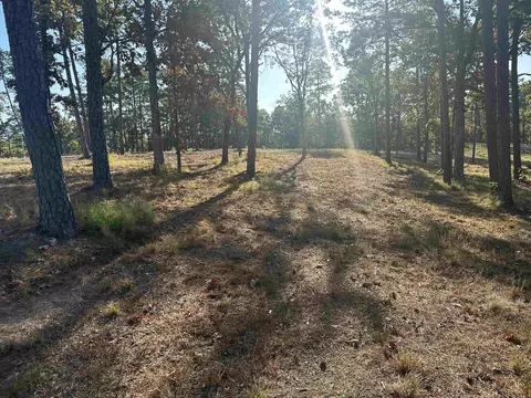2915 Orchard View Dr, Conway, AR 72034 photo 2