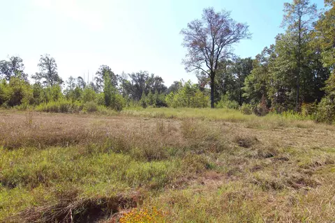 9274 Highway 35 S, Grapevine, AR 72150 photo 20