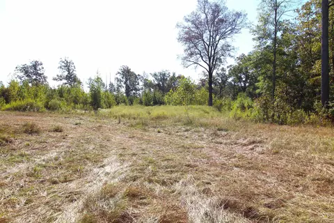 9274 Highway 35 S, Grapevine, AR 72150 photo 22