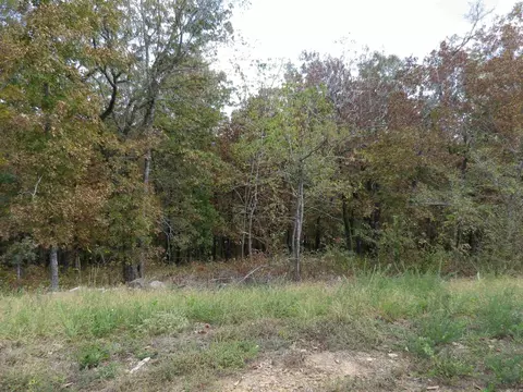 30 Fox Ridge Ln, Conway, AR 72032 photo 6