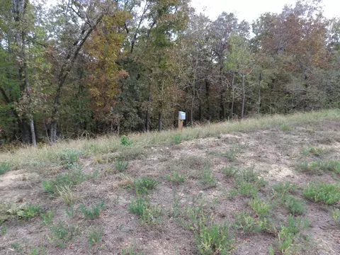 30 Fox Ridge Ln, Conway, AR 72032 photo 14
