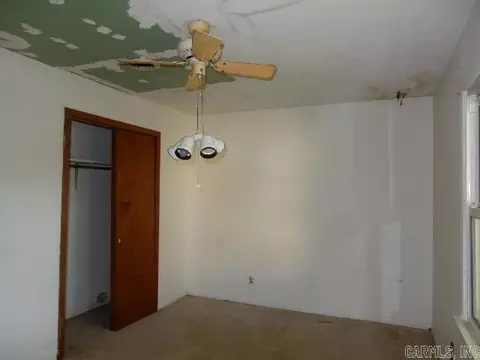300 E Lewis Ave, Lilbourn, MO 63862 photo 9