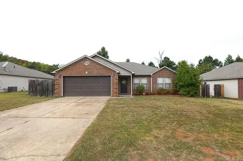 4 Nickel Cv, Alexander, AR 72002 photo 4