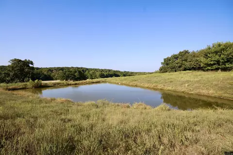 21204 Higginbotham Rd, Summers, AR 72769 photo 47