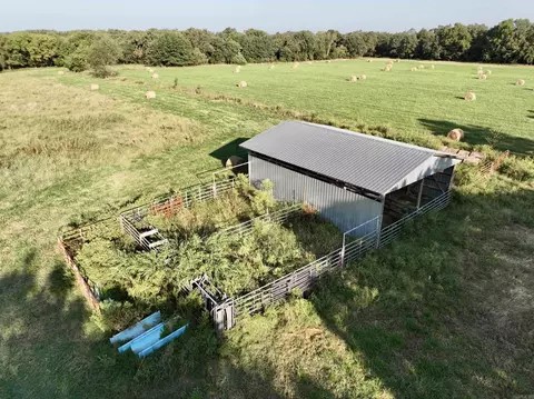 21204 Higginbotham Rd, Summers, AR 72769 photo 41