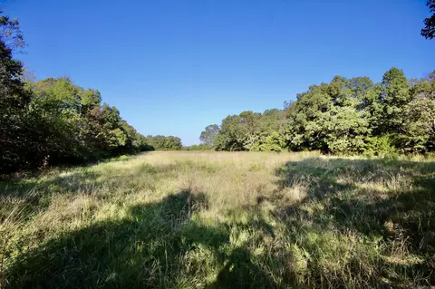 21204 Higginbotham Rd, Summers, AR 72769 photo 43