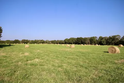 21204 Higginbotham Rd, Summers, AR 72769 photo 37