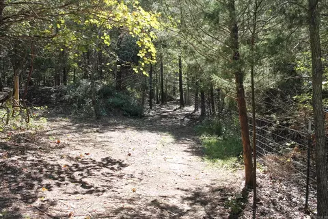 1721 Roasting Ear Rd, Onia, AR 72663 photo 40
