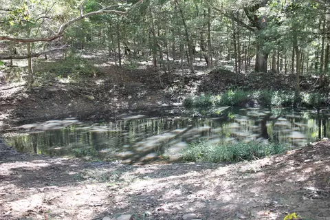 1721 Roasting Ear Rd, Onia, AR 72663 photo 42