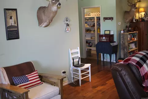 1721 Roasting Ear Rd, Onia, AR 72663 photo 6