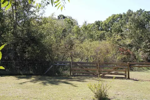1721 Roasting Ear Rd, Onia, AR 72663 photo 38