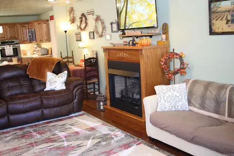 1721 Roasting Ear Rd, Onia, AR 72663 photo 5