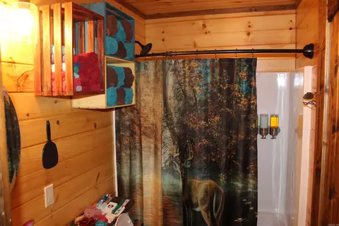 126 Caboodle Dr, Harriet, AR 72639 photo 14