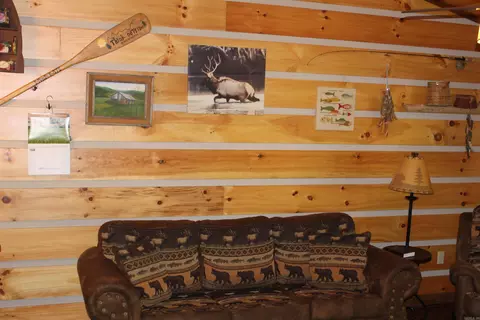 126 Caboodle Dr, Harriet, AR 72639 photo 4