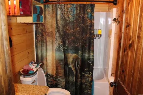 126 Caboodle Dr, Harriet, AR 72639 photo 13