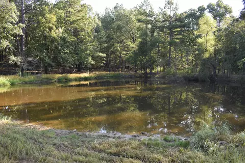 17822 Black Fork Trl, Mena, AR 71953 photo 4