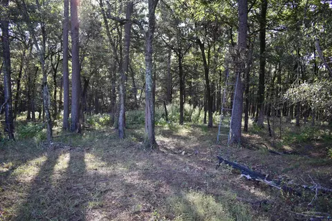 17822 Black Fork Trl, Mena, AR 71953 photo 3