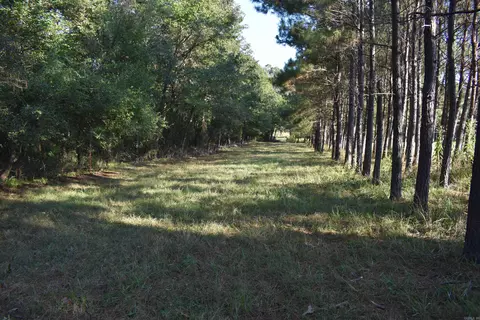 17822 Black Fork Trl, Mena, AR 71953 photo 48