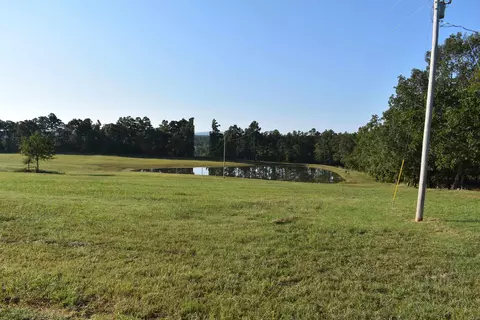 17822 Black Fork Trl, Mena, AR 71953 photo 46