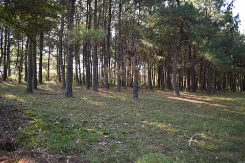 17822 Black Fork Trl, Mena, AR 71953 photo 49