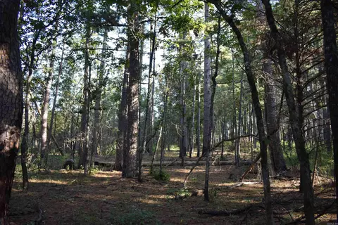 17822 Black Fork Trl, Mena, AR 71953 photo 2