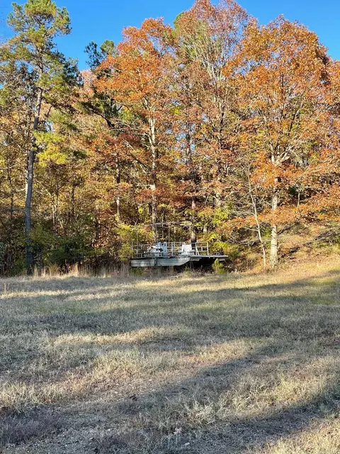 14211 Avilla, Alexander, AR 72002 photo 2
