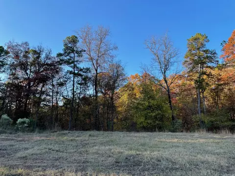 14211 Avilla, Alexander, AR 72002 photo 4