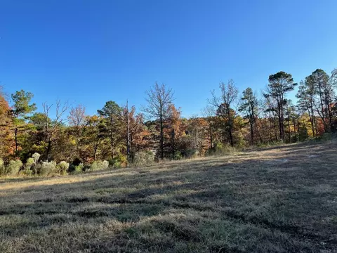 14211 Avilla, Alexander, AR 72002 photo 5