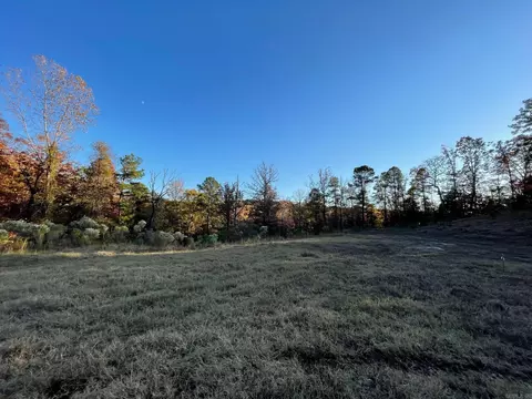 14211 Avilla, Alexander, AR 72002 photo 6