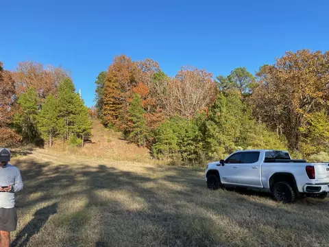 14211 Avilla, Alexander, AR 72002 photo 3