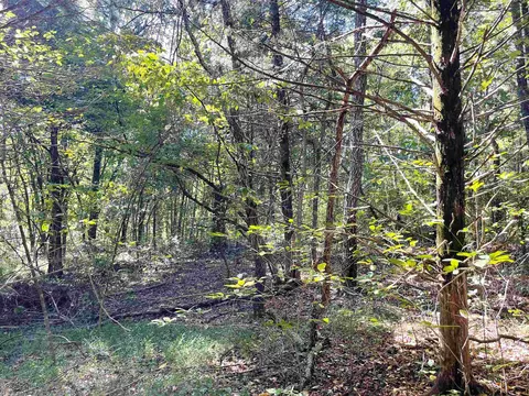 tbd Big Creek Rd, Hardy, AR 72542 photo 11