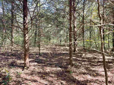 tbd Big Creek Rd, Hardy, AR 72542 photo 12