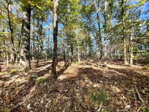 tbd Big Creek Rd, Hardy, AR 72542 photo 6