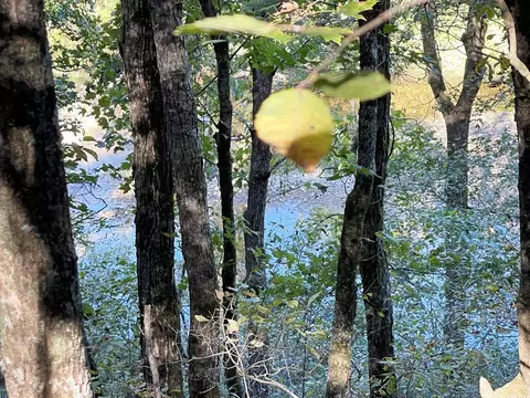 tbd Big Creek Rd, Hardy, AR 72542 photo 7
