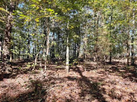 tbd Big Creek Rd, Hardy, AR 72542 photo 8