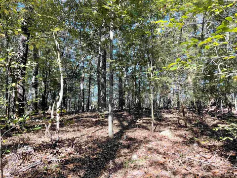 tbd Big Creek Rd, Hardy, AR 72542 photo 5