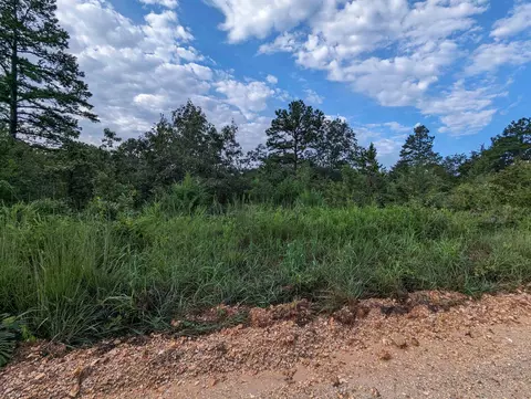 tbd Bexar Rd, Bexar, AR 72515 photo 1