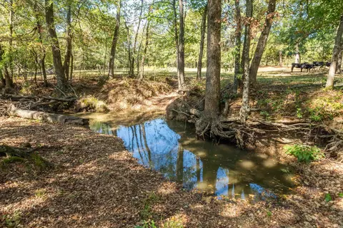 7410 Brinkley Rd, Pine Bluff, AR 71603 photo 49