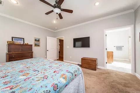 6 Scenic Pt, Greenbrier, AR 72058 photo 19