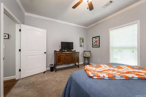 6 Scenic Pt, Greenbrier, AR 72058 photo 24