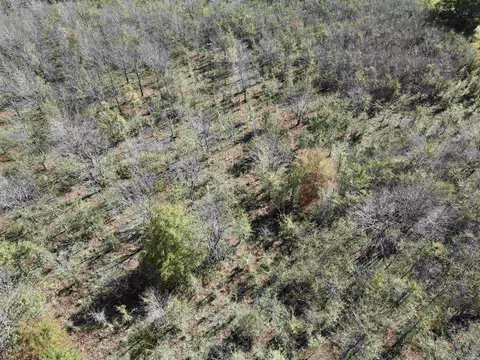 000 Casey Rd, Hunter, AR 72036 photo 12
