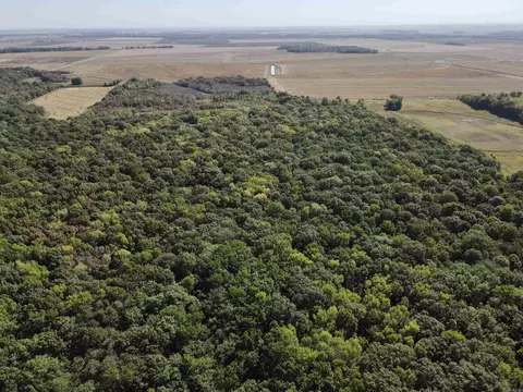 000 Casey Rd, Hunter, AR 72036 photo 7