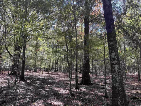 000 Casey Rd, Hunter, AR 72036 photo 29