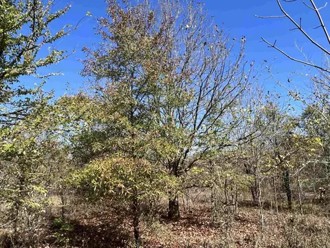 000 Casey Rd, Hunter, AR 72036 photo 25