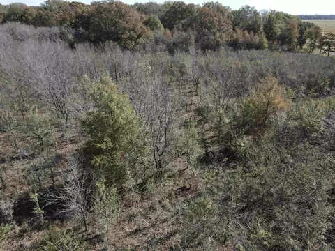 000 Casey Rd, Hunter, AR 72036 photo 13